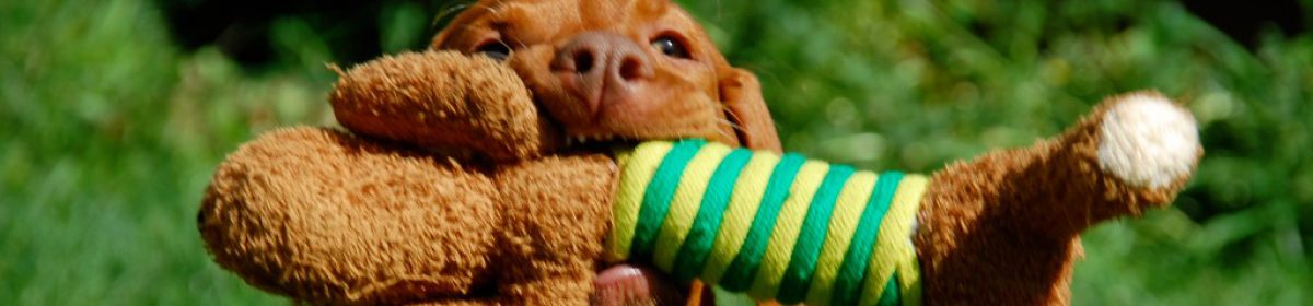 O S M A F Frankenhaeuser